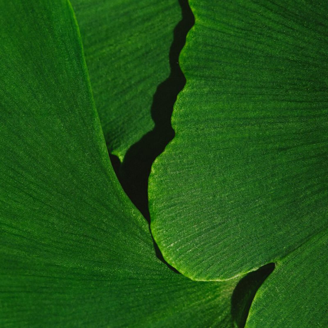 article img3 in a row